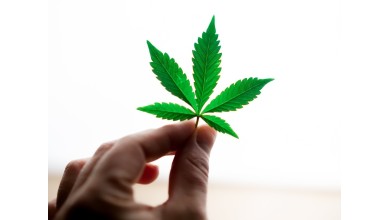 Une année 2023 riche pour l’univers du cannabis et du CBD